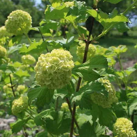 Villa La Fresneda De Tenzuela *