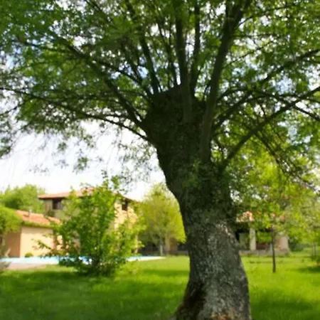 La Fresneda De Tenzuela *