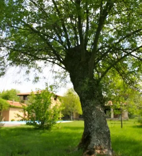 La Fresneda De Tenzuela *