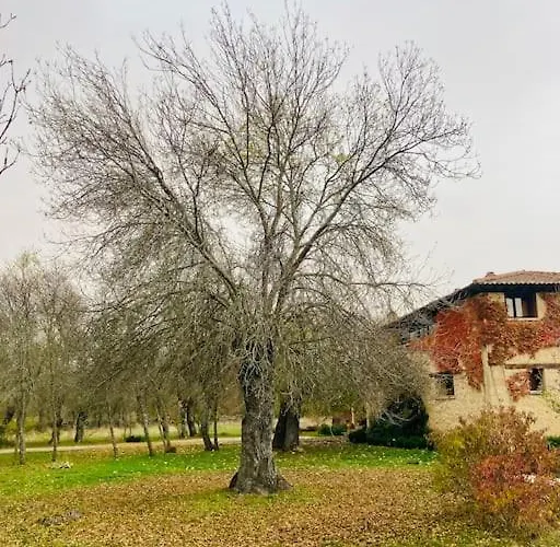 La Fresneda De Tenzuela Segovia